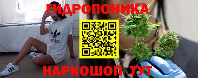 прущие крисы Ирбит