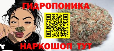 прущие крисы Ирбит